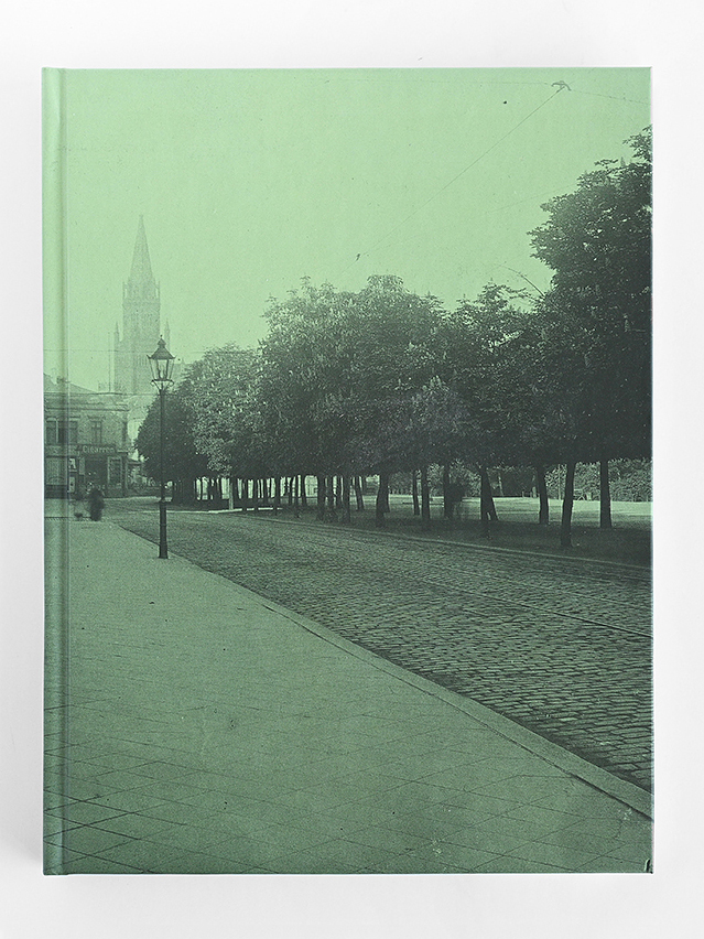 Изображение Книги Город цветущих каштанов (зелёная обложка)